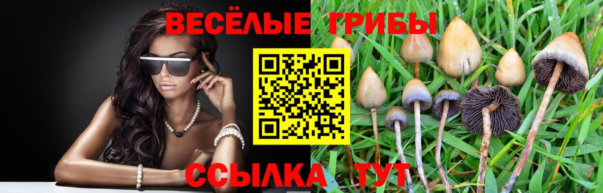 Галлюциногенные грибы Magic Shrooms Губаха