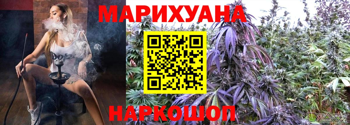 Конопля конопля Губаха